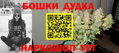 винт Славгород