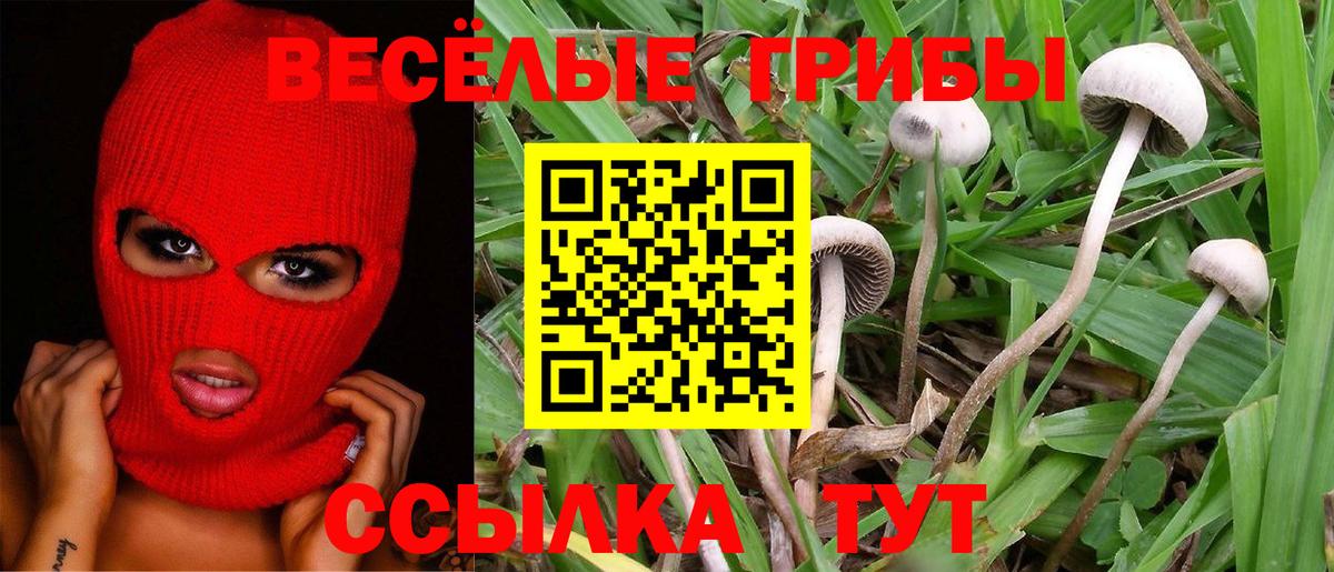 Галлюциногенные грибы MAGIC MUSHROOMS  Вход с VPN  Благовещенск 
